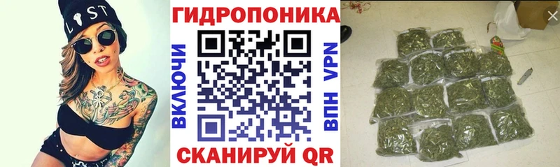 A PVP Болгар