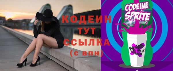 шишки Балахна