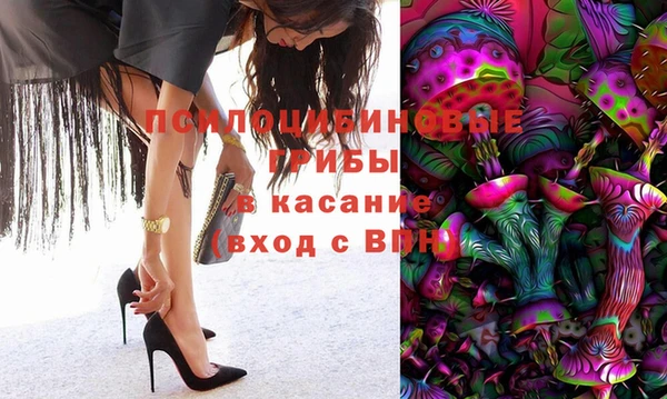 шишки Балахна