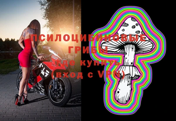 шишки Балахна