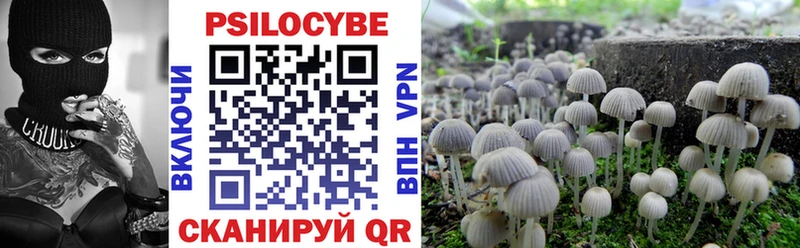 Купить  Болгар  Галлюциногенные грибы прущие грибы 